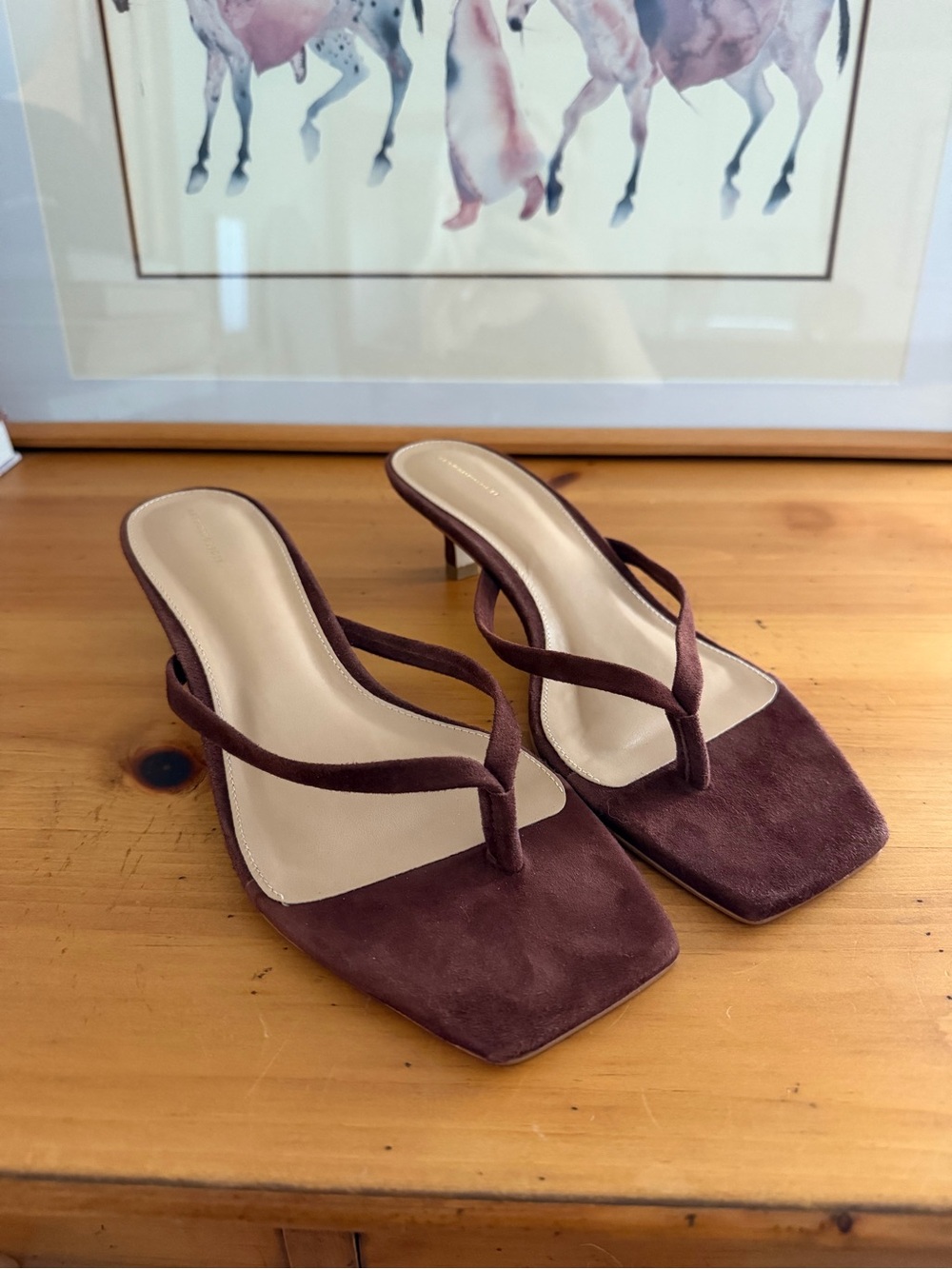 Anthropologie Brown Suede Thong Kitten Heel Sandals